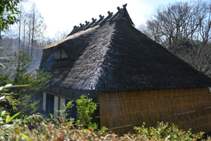 日本民家園・菅原家住宅