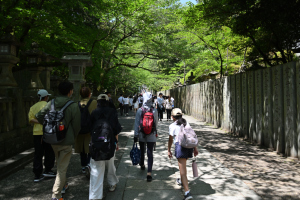 金刀比羅宮・桜馬場