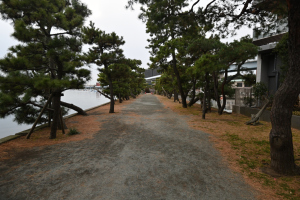 琵琶島神社