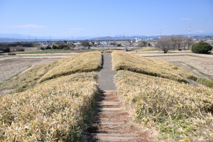 井出二子山古墳