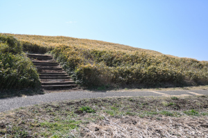 井出二子山古墳
