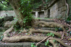 観音崎砲台跡･北門第ニ砲台・第三砲座