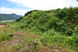 鳥越城・後二之丸、本丸間の空堀
